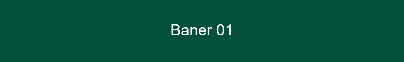 dummy_1300x200_ffffff_01503A_baner-01